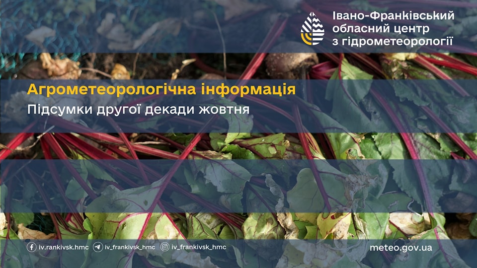 Агрометеорологічна інформація за другу декаду жовтня 2024 р.