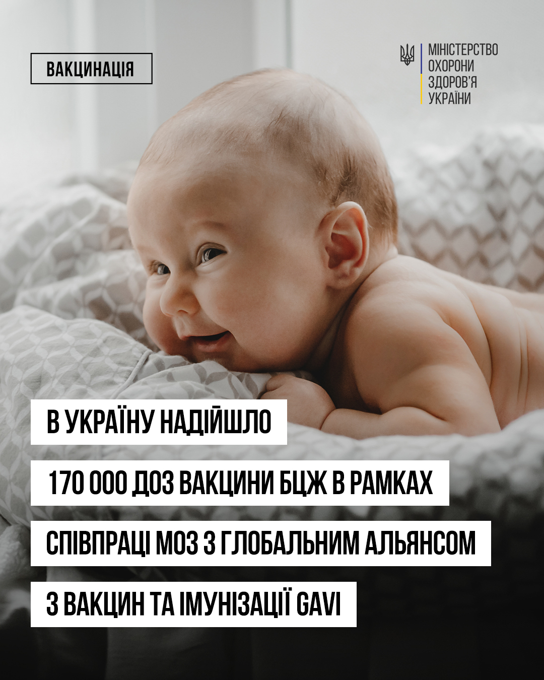В Україну надійшло 170 000 доз вакцини БЦЖ для вакцинації немовлят від туберкульозу