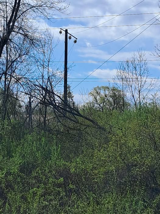 Наслідки негоди на Прикарпатті: енергетики відновили світло для більшості споживачів