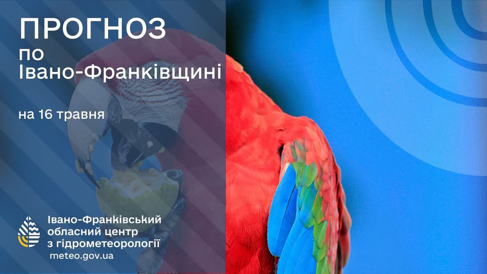 Попередження про грози та пориви вітру: прогноз погоди на Прикарпатті на 16 травня