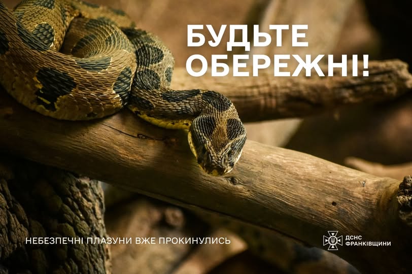 Рятувальники Прикарпаття попереджають про небезпеку зустрічі зі зміями та нагадують правила безпеки