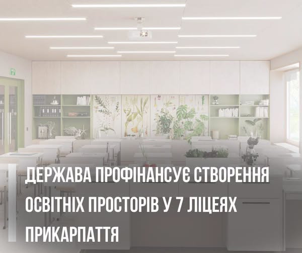 Сім ліцеїв Прикарпаття отримають державне фінансування на створення сучасних освітніх просторів, які відповідатимуть підходам Нової української школи