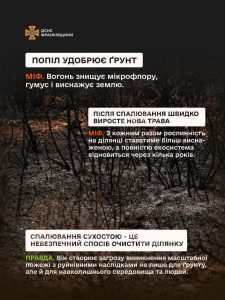 Безпечне довкілля: чому варто відмовитися від випалювання сухостою