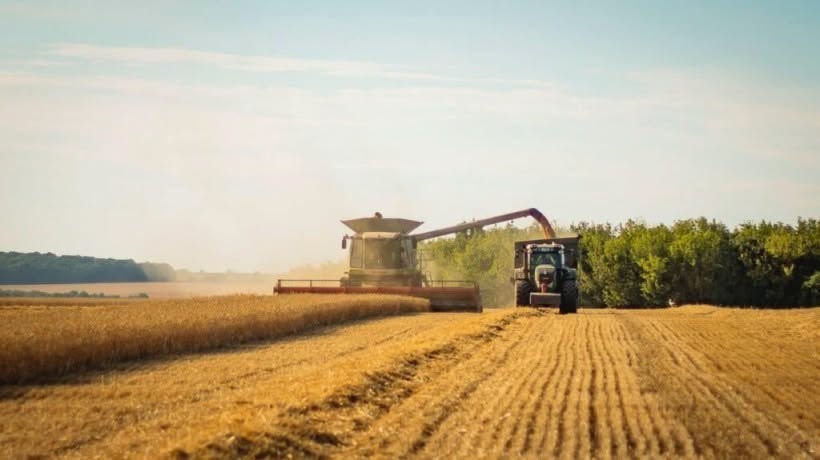 Жнива на Прикарпатті: аграрії намолотили понад 253,8 тис. тонн зерна