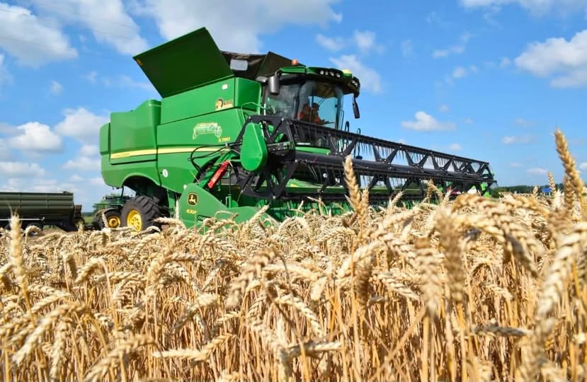 На Прикарпатті завершено збирання ранніх зернових та зернобобових культур