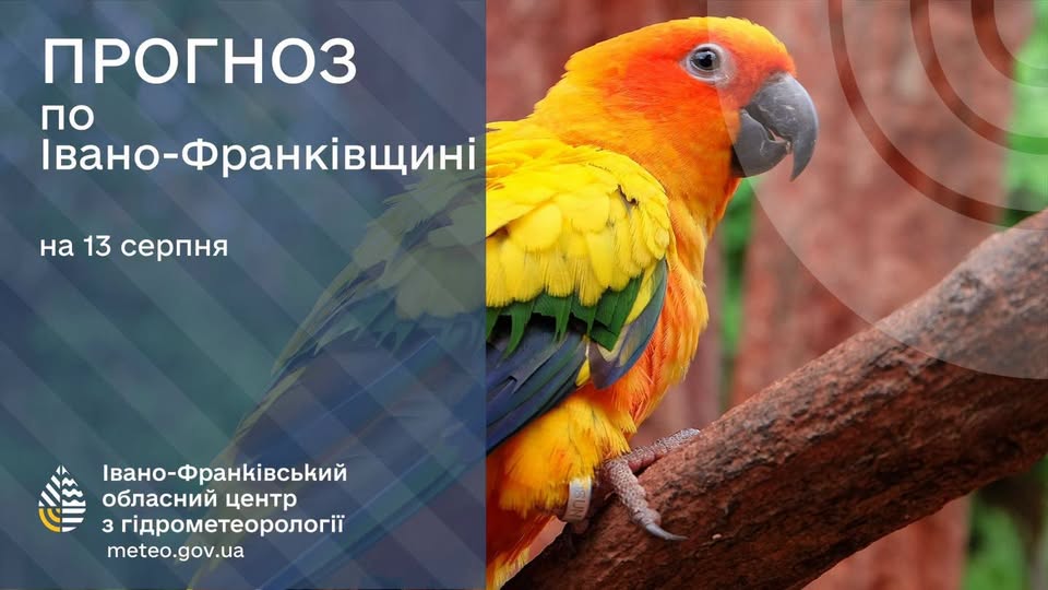 Прогноз погоди по Івано-Франківську та області на 13 серпня 2026 р.