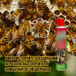 Поради рятувальників щодо знищення гнізд агресивних комах у домашніх умовах