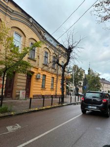 В Івано-Франківську тривають роботи з видалення засохлих дерев