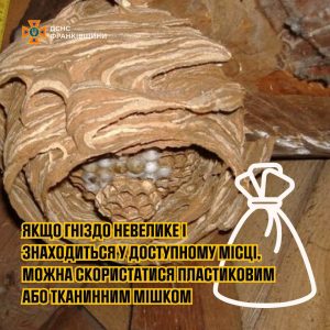 Поради рятувальників щодо знищення гнізд агресивних комах у домашніх умовах
