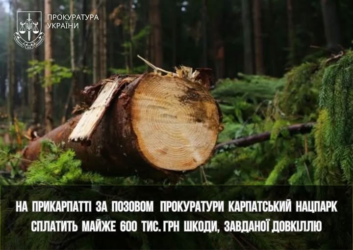 На Прикарпатті за позовом прокуратури Карпатський нацпарк сплатить майже 600 тис. грн шкоди, завданої довкіллю