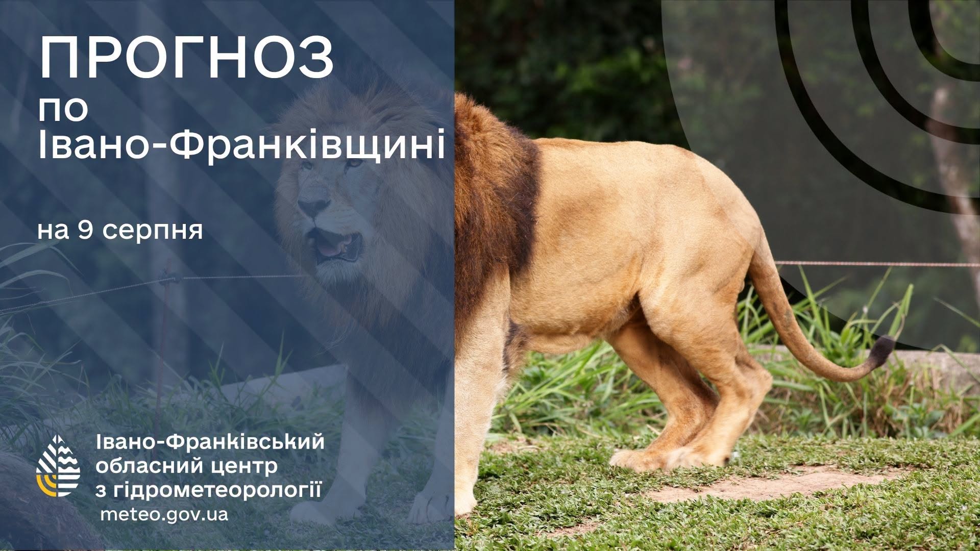 Прогноз погоди по Івано-Франківську та області на 9 серпня 2026 року